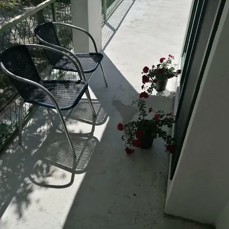 Milica Golubic (Zadar)