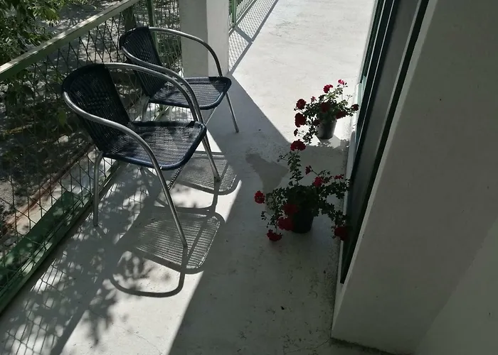 Milica Golubic (Zadar)